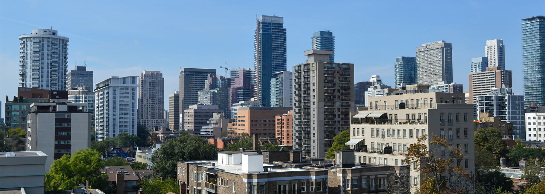 Commercial General Contractor